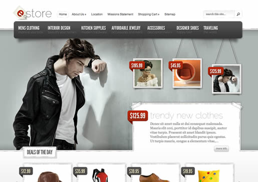 eStore - Best Ecommerce WordPress Theme 2012