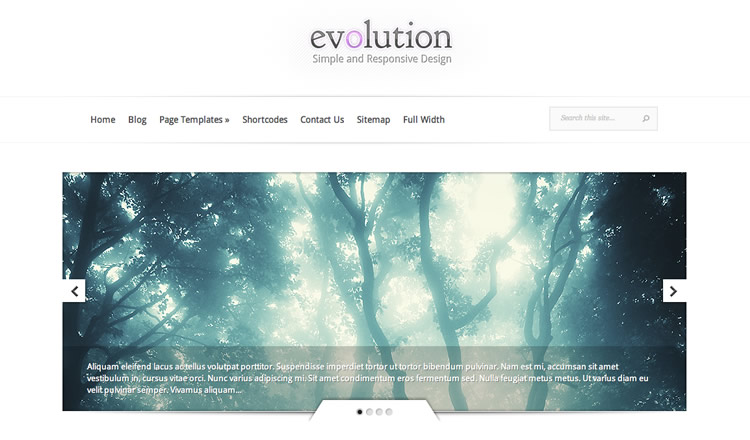 Evolution - Best Responsive WordPress Theme 2012
