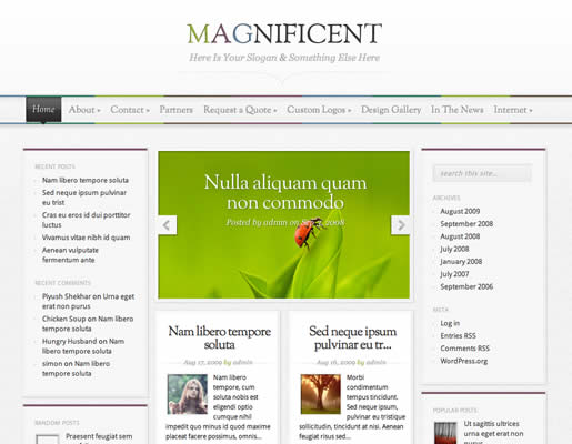 Magnificent - Best Magazine WordPress Theme 2012