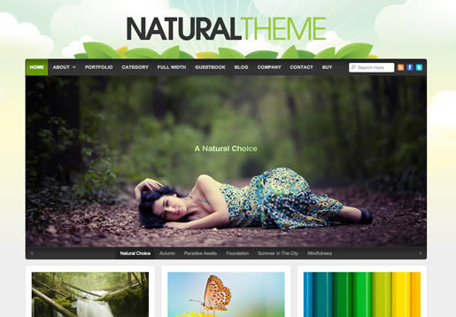Natural - Best Business WordPress Theme 2012
