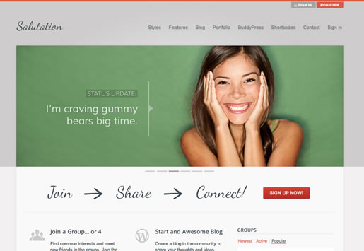 Salutation - Best BuddyPress WordPress Theme 2012