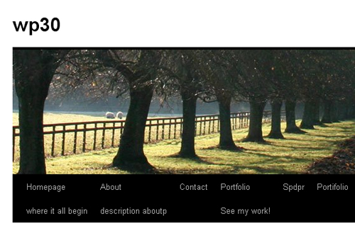 wordpress menu wordpress menu