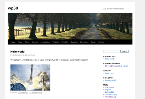WP3.0 Twenty Ten Default Theme WP3.0 Twenty Ten Default Theme