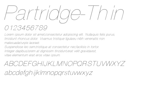 Partridge-Thin Partridge-Thin