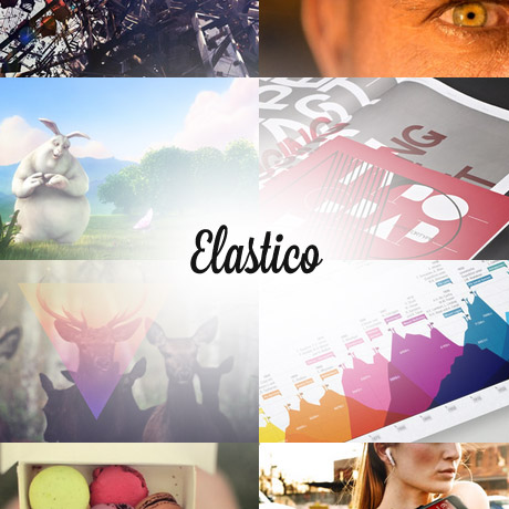 elastico wordpress theme download