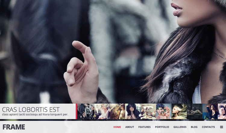 Frame - Best Photography WordPress Theme 2013