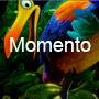 Momento Premium WordPress Theme