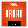 Braun Premium WordPress Theme