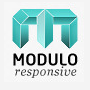 Modulo Premium WordPress Theme